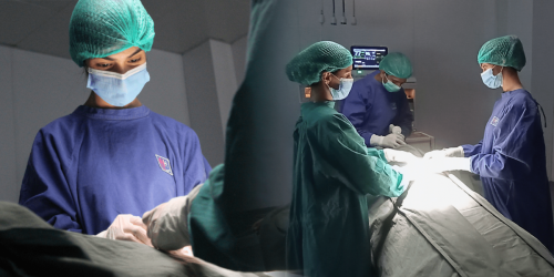 Highly Skilled and Experienced Professionals